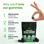 Pure Shilajit Gummies - Image 7
